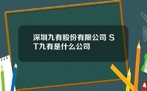 深圳九有股份有限公司 ST九有是什么公司