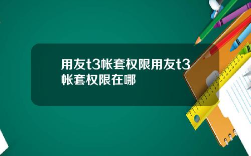 用友t3帐套权限用友t3帐套权限在哪