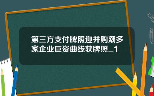 第三方支付牌照迎并购潮多家企业巨资曲线获牌照_1