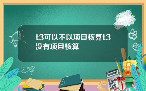 t3可以不以项目核算t3没有项目核算