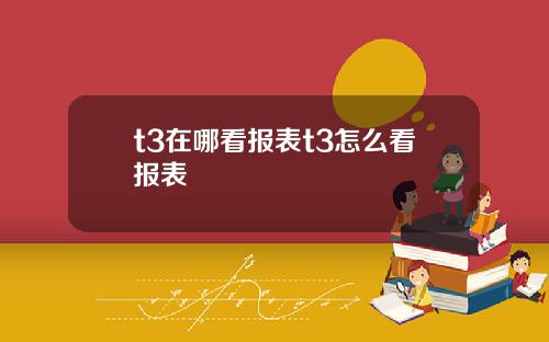 t3在哪看报表t3怎么看报表