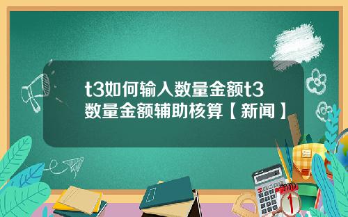 t3如何输入数量金额t3数量金额辅助核算【新闻】