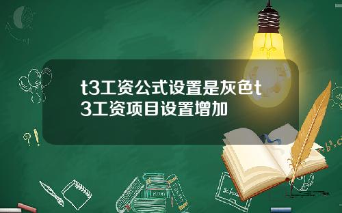 t3工资公式设置是灰色t3工资项目设置增加