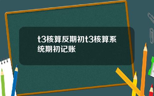 t3核算反期初t3核算系统期初记账