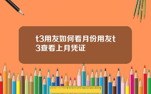 t3用友如何看月份用友t3查看上月凭证