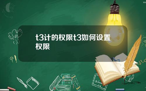 t3计的权限t3如何设置权限