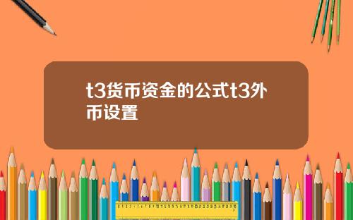 t3货币资金的公式t3外币设置