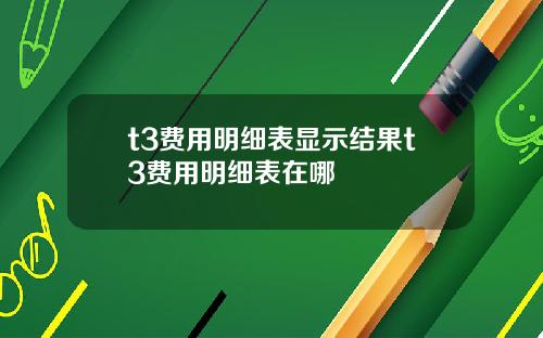 t3费用明细表显示结果t3费用明细表在哪