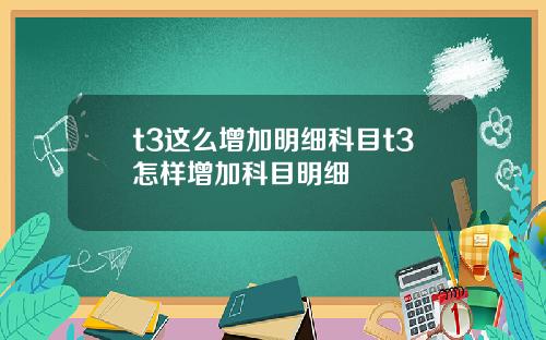 t3这么增加明细科目t3怎样增加科目明细