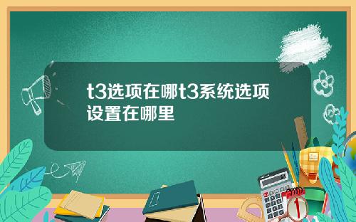 t3选项在哪t3系统选项设置在哪里