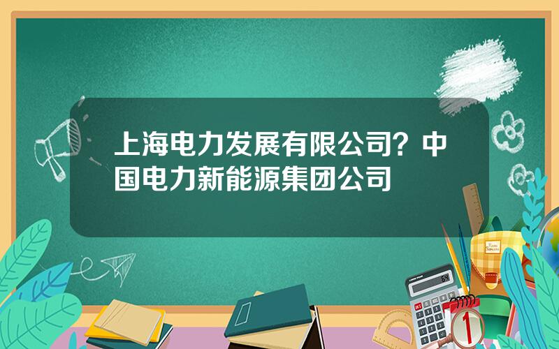 上海电力发展有限公司？中国电力新能源集团公司