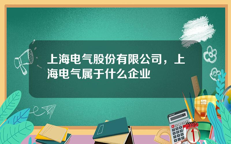 上海电气股份有限公司，上海电气属于什么企业