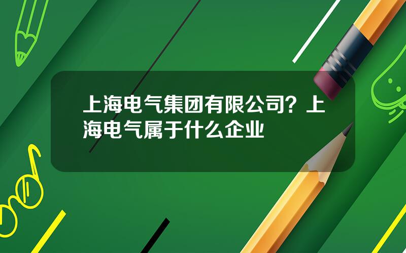 上海电气集团有限公司？上海电气属于什么企业