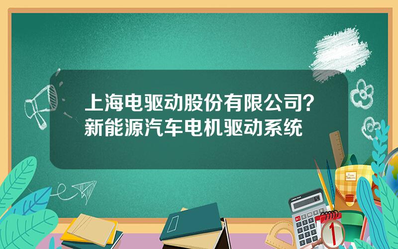 上海电驱动股份有限公司？新能源汽车电机驱动系统