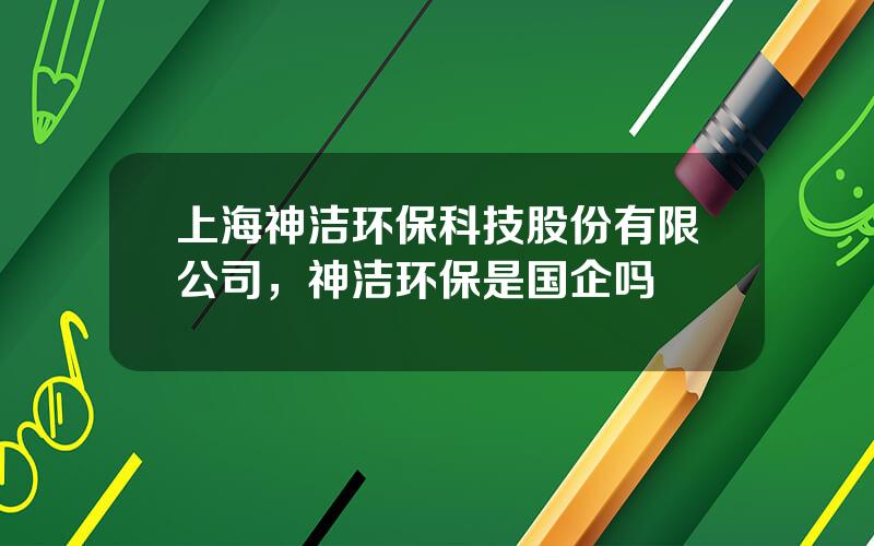 上海神洁环保科技股份有限公司，神洁环保是国企吗