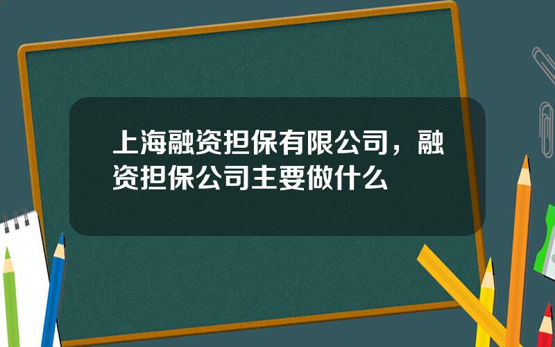 上海融资担保有限公司，融资担保公司主要做什么