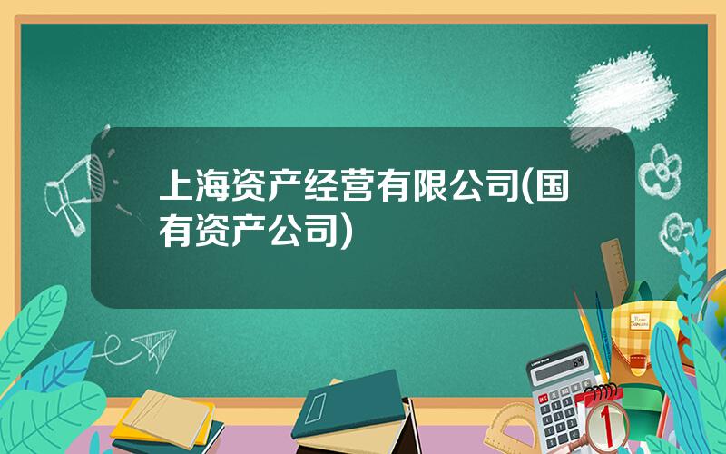 上海资产经营有限公司(国有资产公司)