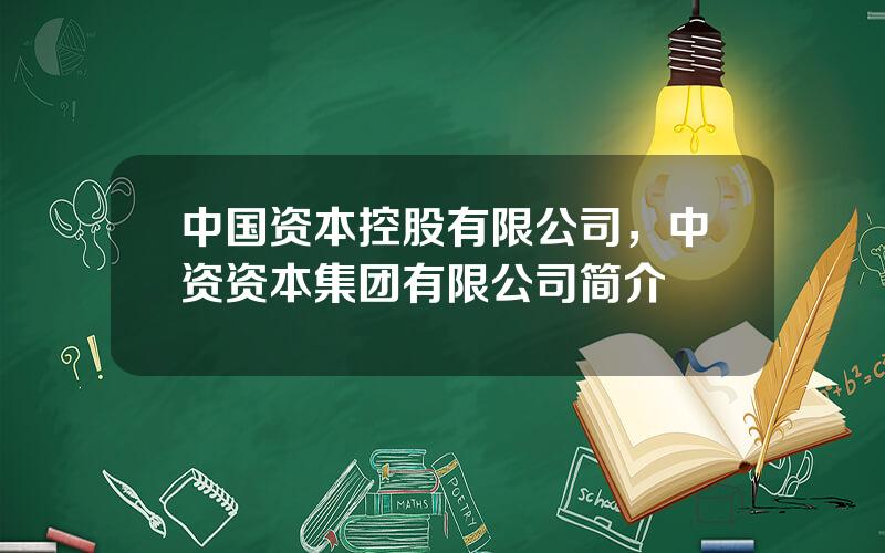 中国资本控股有限公司，中资资本集团有限公司简介