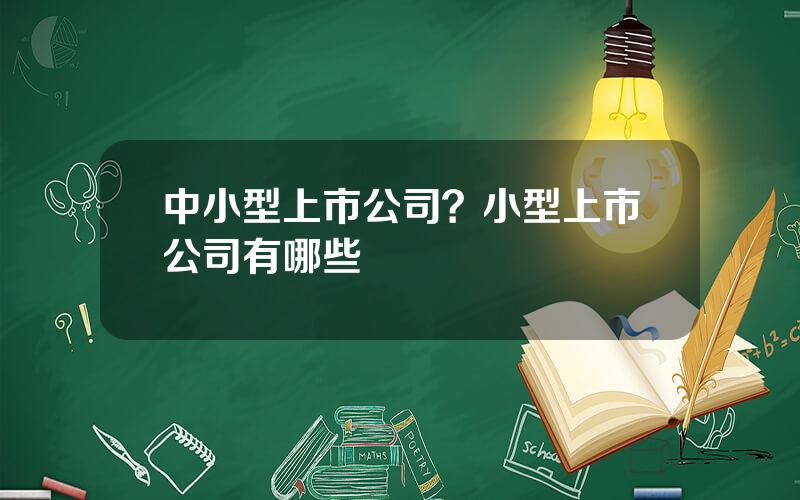 中小型上市公司？小型上市公司有哪些