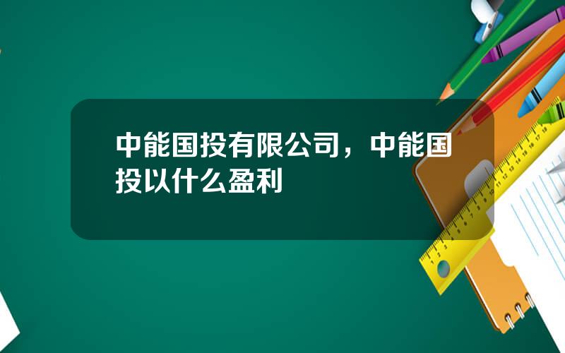 中能国投有限公司，中能国投以什么盈利