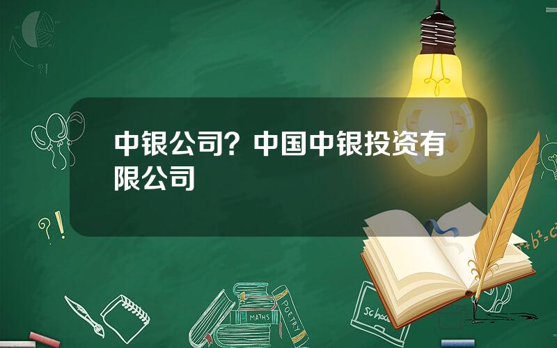 中银公司？中国中银投资有限公司