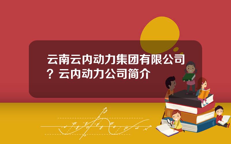 云南云内动力集团有限公司？云内动力公司简介