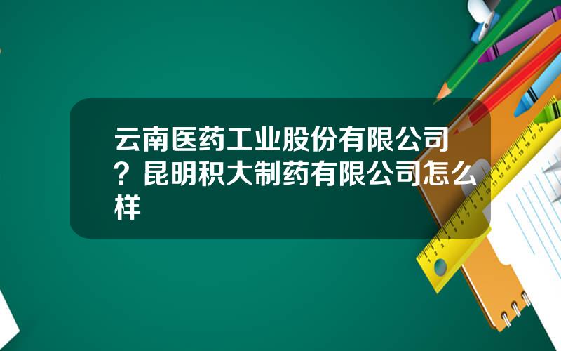 云南医药工业股份有限公司？昆明积大制药有限公司怎么样