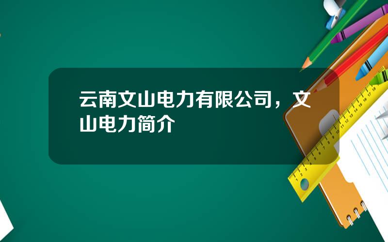 云南文山电力有限公司，文山电力简介