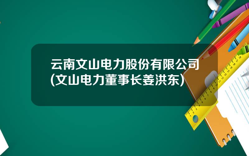 云南文山电力股份有限公司(文山电力董事长姜洪东)