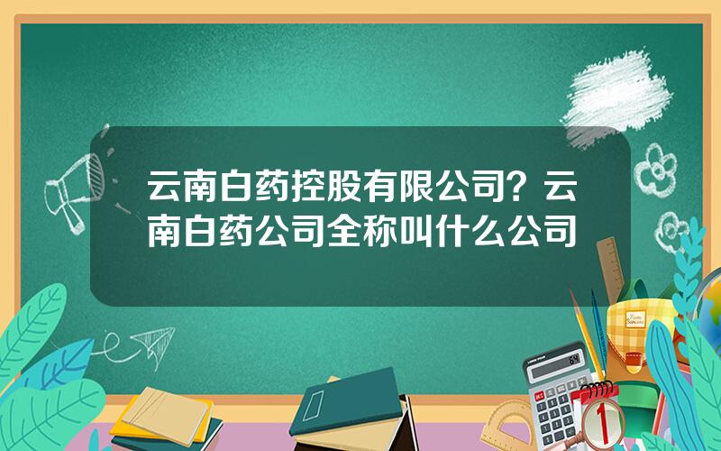 云南白药控股有限公司？云南白药公司全称叫什么公司