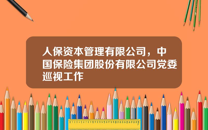 人保资本管理有限公司，中国保险集团股份有限公司党委巡视工作