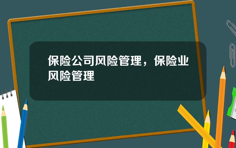 保险公司风险管理，保险业风险管理