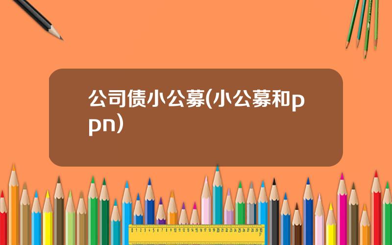 公司债小公募(小公募和ppn)