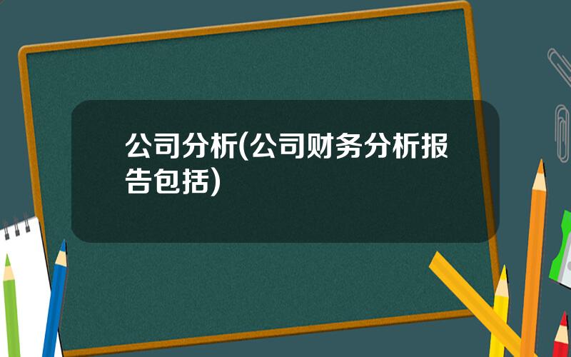 公司分析(公司财务分析报告包括)