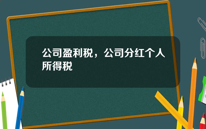 公司盈利税，公司分红个人所得税