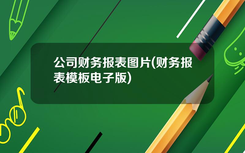 公司财务报表图片(财务报表模板电子版)