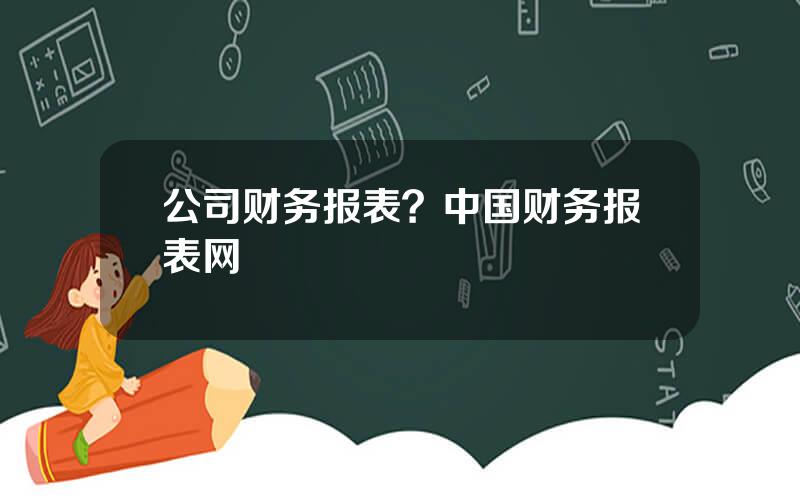 公司财务报表？中国财务报表网