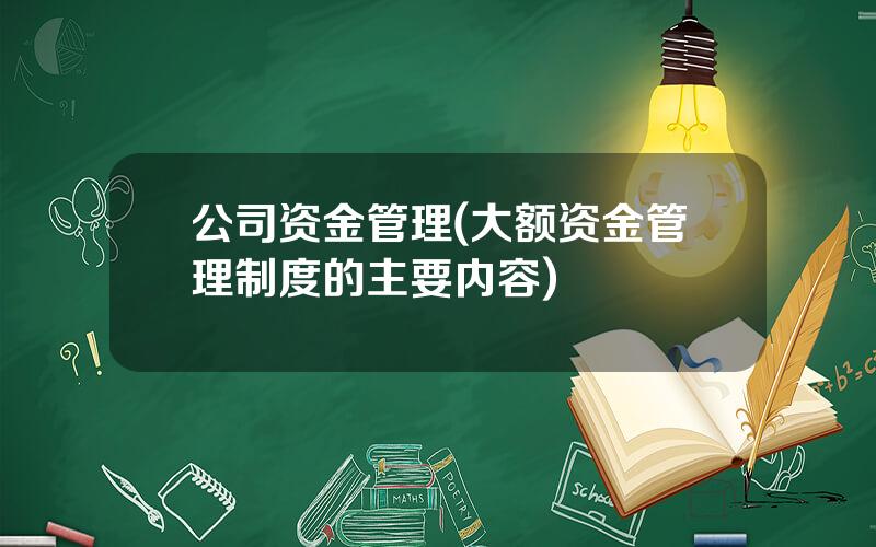 公司资金管理(大额资金管理制度的主要内容)