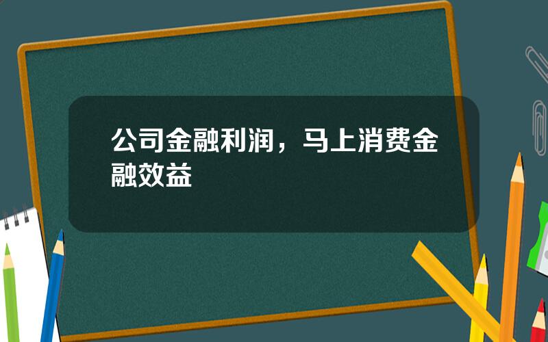 公司金融利润，马上消费金融效益