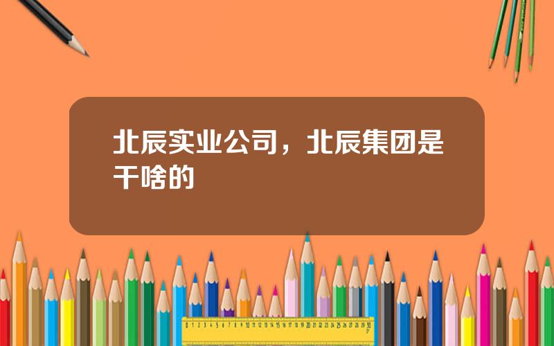 北辰实业公司，北辰集团是干啥的