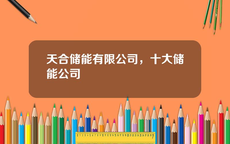 天合储能有限公司，十大储能公司