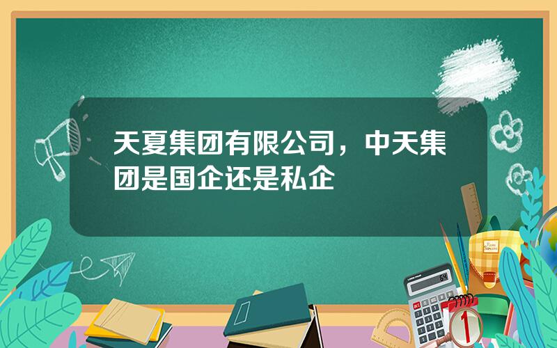 天夏集团有限公司，中天集团是国企还是私企