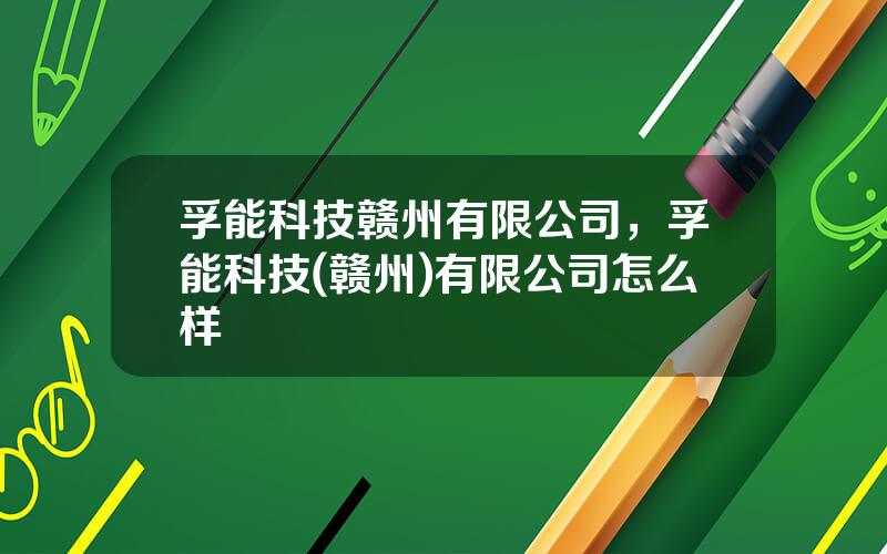 孚能科技赣州有限公司，孚能科技(赣州)有限公司怎么样