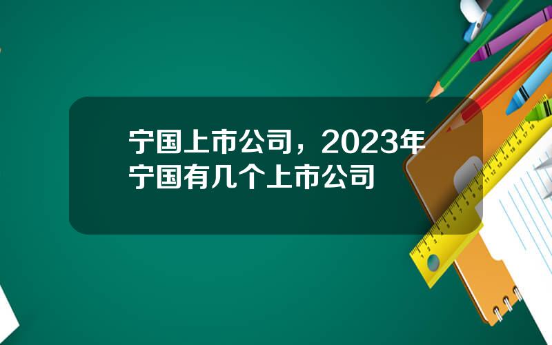 宁国上市公司，2023年宁国有几个上市公司