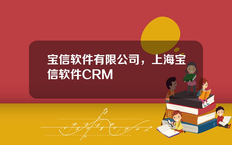 宝信软件有限公司，上海宝信软件CRM