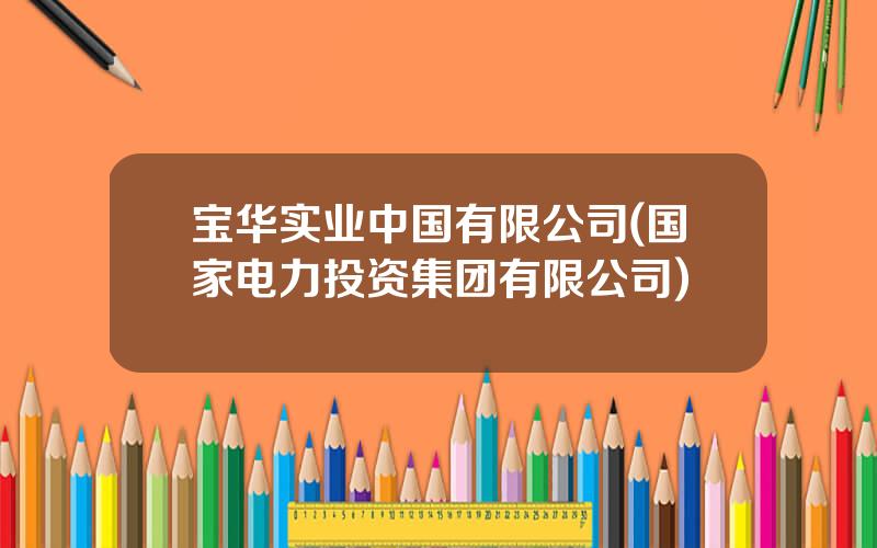 宝华实业中国有限公司(国家电力投资集团有限公司)