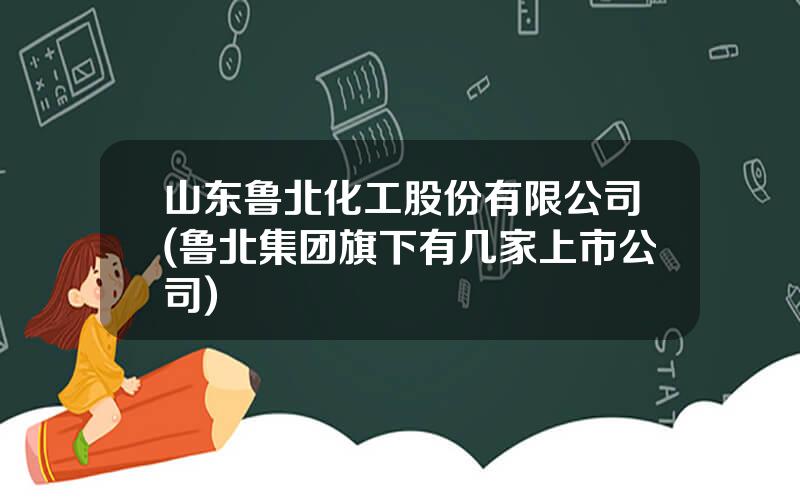 山东鲁北化工股份有限公司(鲁北集团旗下有几家上市公司)