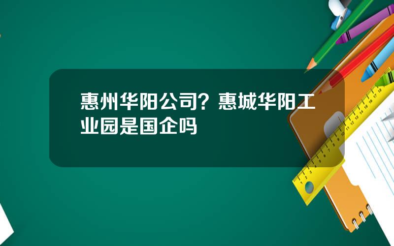 惠州华阳公司？惠城华阳工业园是国企吗