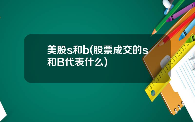 美股s和b(股票成交的s和B代表什么)